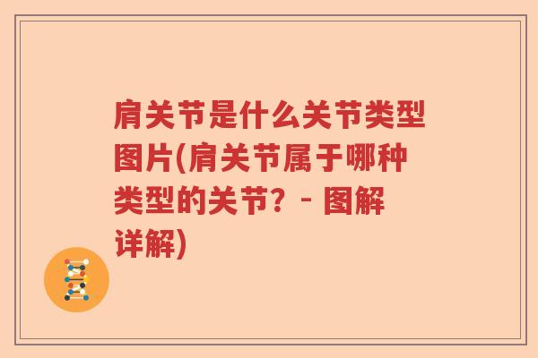 肩关节是什么关节类型图片(肩关节属于哪种类型的关节?- 图解详解) 肩关节是什么关节类型图片(肩关节属于哪种类型的关节?- 图解详解)