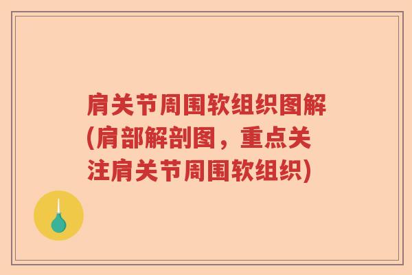 肩关节周围软组织图解(肩部解剖图,重点关注肩关节周围软组织) 肩关节周围软组织图解(肩部解剖图,重点关注肩关节周围软组织)