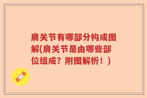肩关节有哪部分构成图解(肩关节是由哪些部位组成？附图解析！)