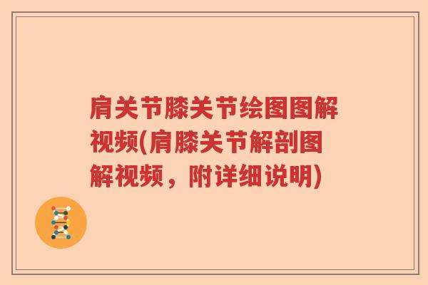 肩关节膝关节绘图图解视频(肩膝关节解剖图解视频,附详细说明) 肩关节膝关节绘图图解视频(肩膝关节解剖图解视频,附详细说明)