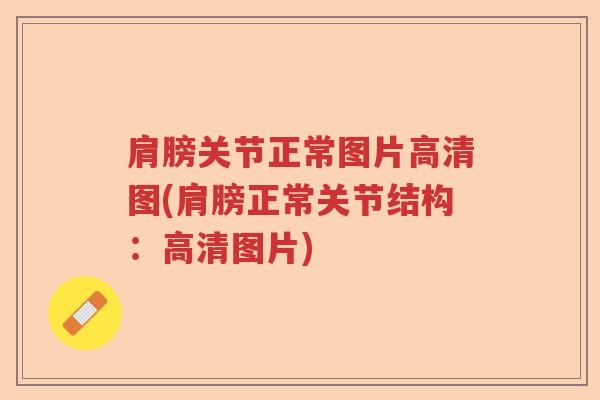 肩膀关节正常图片高清图(肩膀正常关节结构:高清图片) 肩膀关节正常图片高清图(肩膀正常关节结构:高清图片)
