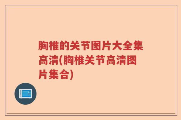 胸椎的关节图片大全集高清(胸椎关节高清图片集合) 胸椎的关节图片大全集高清(胸椎关节高清图片集合)