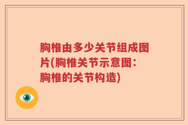 胸椎由多少关节组成图片(胸椎关节示意图:胸椎的关节构造) 胸椎由多少关节组成图片(胸椎关节示意图:胸椎的关节构造)