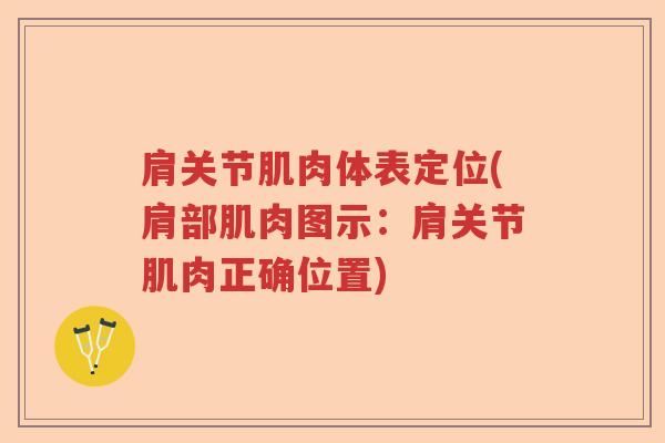 肩关节肌肉体表定位(肩部肌肉图示:肩关节肌肉正确位置) 肩关节肌肉体表定位(肩部肌肉图示:肩关节肌肉正确位置)