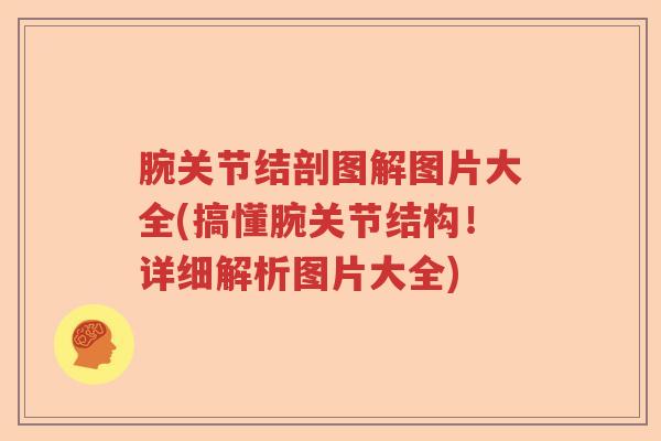腕关节结剖图解图片大全(搞懂腕关节结构！详细解析图片大全)