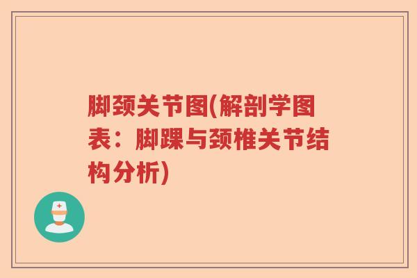脚颈关节图(解剖学图表:脚踝与颈椎关节结构分析) 脚颈关节图(解剖学图表:脚踝与颈椎关节结构分析)