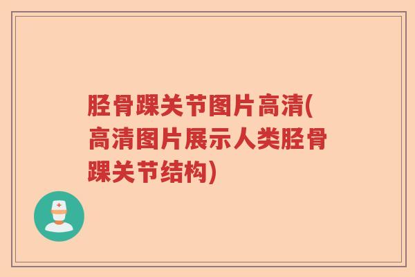 胫骨踝关节图片高清(高清图片展示人类胫骨踝关节结构) 胫骨踝关节图片高清(高清图片展示人类胫骨踝关节结构)