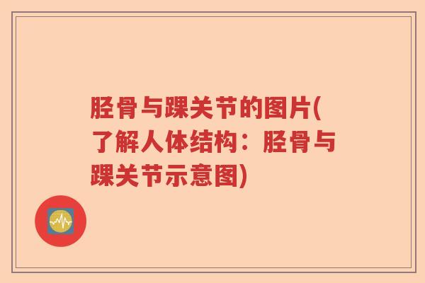 胫骨与踝关节的图片(了解人体结构:胫骨与踝关节示意图) 胫骨与踝关节的图片(了解人体结构:胫骨与踝关节示意图)