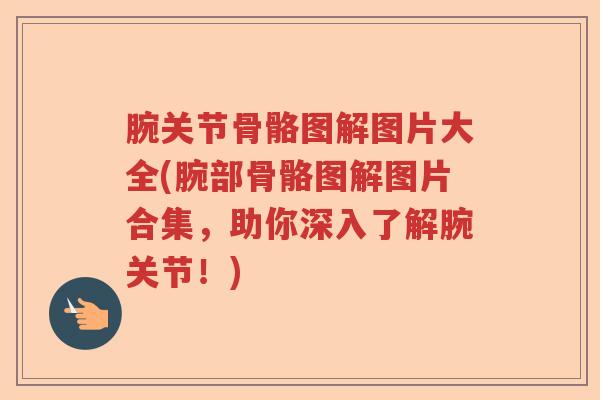 腕关节骨骼图解图片大全(腕部骨骼图解图片合集，助你深入了解腕关节！)
