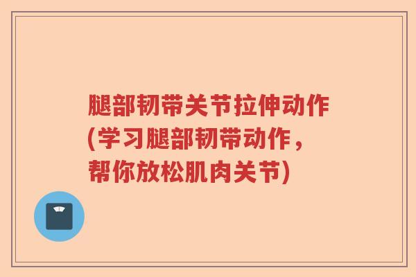 腿部韧带关节拉伸动作(学习腿部韧带动作,帮你放松肌肉关节) 腿部韧带关节拉伸动作(学习腿部韧带动作,帮你放松肌肉关节)
