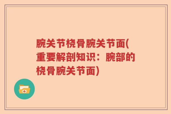 腕关节桡骨腕关节面(重要解剖知识:腕部的桡骨腕关节面) 腕关节桡骨腕关节面(重要解剖知识:腕部的桡骨腕关节面)