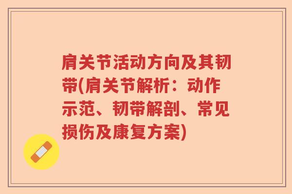 肩关节活动方向及其韧带(肩关节解析：动作示范、韧带解剖、常见损伤及康复方案)