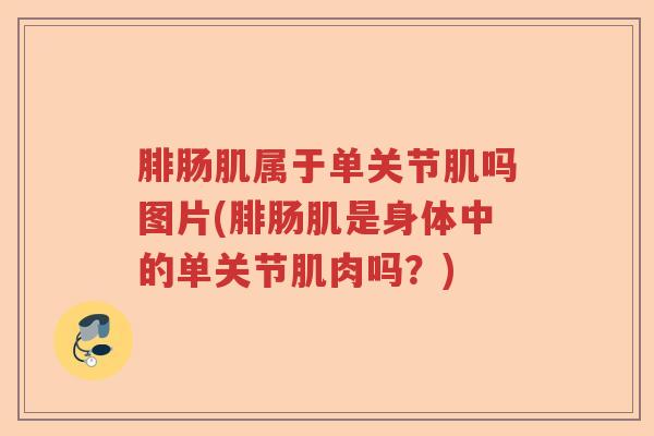 腓肠肌属于单关节肌吗图片(腓肠肌是身体中的单关节肌肉吗?) 腓肠肌属于单关节肌吗图片(腓肠肌是身体中的单关节肌肉吗?)