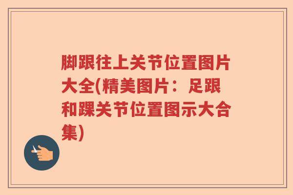 脚跟往上关节位置图片大全(精美图片:足跟和踝关节位置图示大合集) 脚跟往上关节位置图片大全(精美图片:足跟和踝关节位置图示大合集)