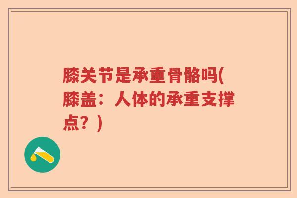 膝关节是承重骨骼吗(膝盖：人体的承重支撑点？)