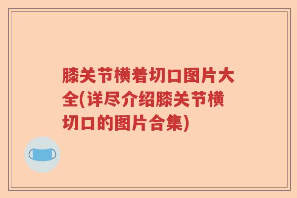膝关节横着切口图片大全(详尽介绍膝关节横切口的图片合集) 膝关节横着切口图片大全(详尽介绍膝关节横切口的图片合集)