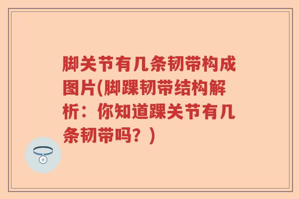 脚关节有几条韧带构成图片(脚踝韧带结构解析:你知道踝关节有几条韧带吗?) 脚关节有几条韧带构成图片(脚踝韧带结构解析:你知道踝关节有几条韧带吗?)