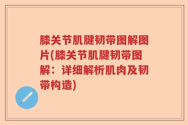 膝关节肌腱韧带图解图片(膝关节肌腱韧带图解：详细解析肌肉及韧带构造)