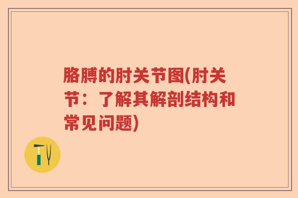 胳膊的肘关节图(肘关节:了解其解剖结构和常见问题) 胳膊的肘关节图(肘关节:了解其解剖结构和常见问题)
