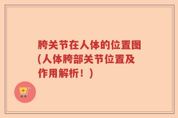 胯关节在人体的位置图(人体胯部关节位置及作用解析!) 胯关节在人体的位置图(人体胯部关节位置及作用解析!)