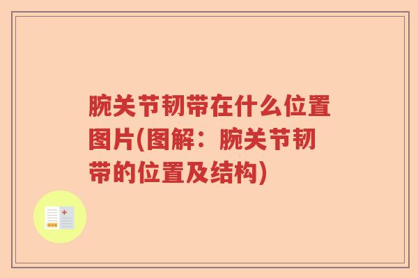 腕关节韧带在什么位置图片(图解：腕关节韧带的位置及结构)