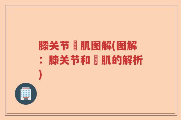 膝关节腘肌图解(图解：膝关节和腘肌的解析)
