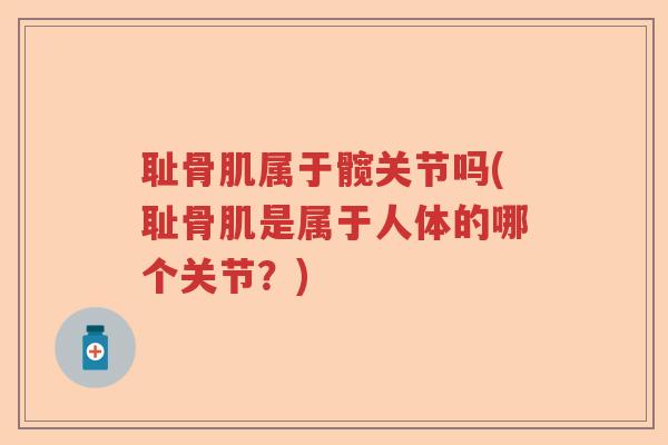 耻骨肌属于髋关节吗(耻骨肌是属于人体的哪个关节?) 耻骨肌属于髋关节吗(耻骨肌是属于人体的哪个关节?)