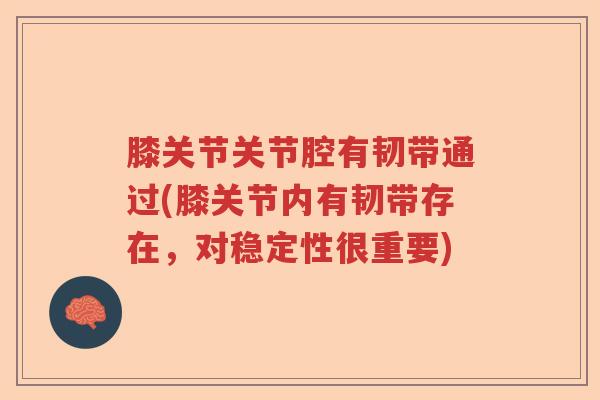 膝关节关节腔有韧带通过(膝关节内有韧带存在,对稳定性很重要) 膝关节关节腔有韧带通过(膝关节内有韧带存在,对稳定性很重要)