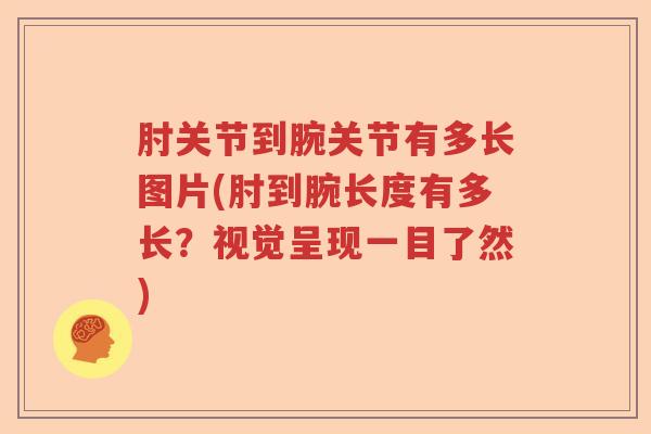 肘关节到腕关节有多长图片(肘到腕长度有多长?视觉呈现一目了然) 肘关节到腕关节有多长图片(肘到腕长度有多长?视觉呈现一目了然)