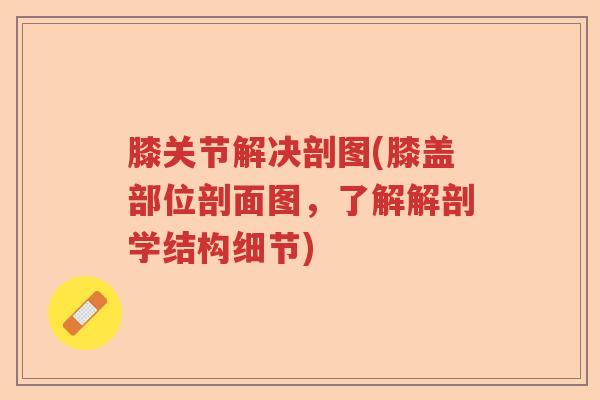 膝关节解决剖图(膝盖部位剖面图,了解解剖学结构细节) 膝关节解决剖图(膝盖部位剖面图,了解解剖学结构细节)