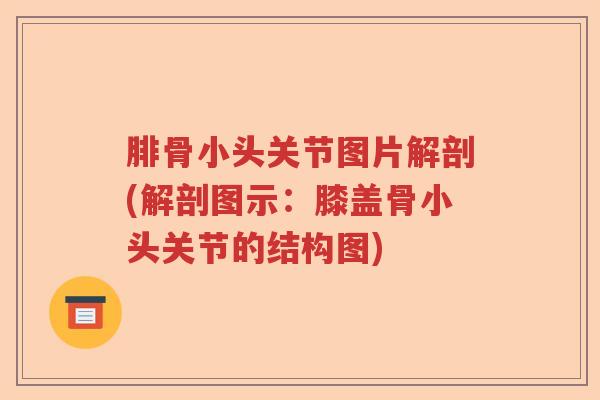腓骨小头关节图片解剖(解剖图示:膝盖骨小头关节的结构图) 腓骨小头关节图片解剖(解剖图示:膝盖骨小头关节的结构图)