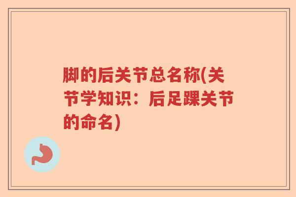 脚的后关节总名称(关节学知识:后足踝关节的命名) 脚的后关节总名称(关节学知识:后足踝关节的命名)