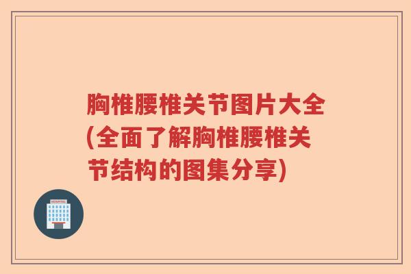 胸椎腰椎关节图片大全(全面了解胸椎腰椎关节结构的图集分享) 胸椎腰椎关节图片大全(全面了解胸椎腰椎关节结构的图集分享)