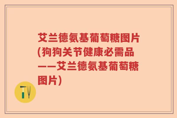 艾兰德氨基葡萄糖图片(狗狗关节健康必需品——艾兰德氨基葡萄糖图片) 艾兰德氨基葡萄糖图片(狗狗关节健康必需品——艾兰德氨基葡萄糖图片)
