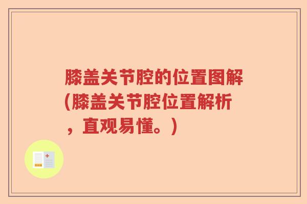 膝盖关节腔的位置图解(膝盖关节腔位置解析,直观易懂。) 膝盖关节腔的位置图解(膝盖关节腔位置解析,直观易懂。)