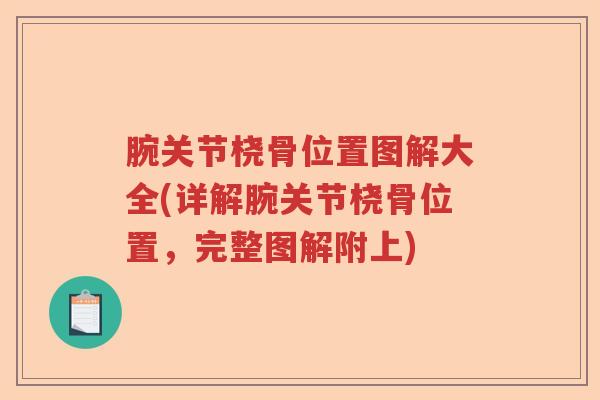 腕关节桡骨位置图解大全(详解腕关节桡骨位置，完整图解附上)