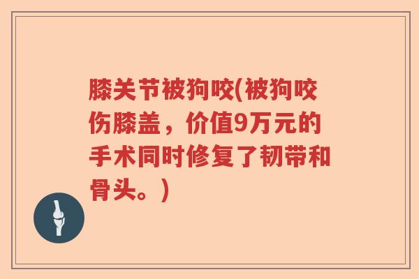 膝关节被狗咬(被狗咬伤膝盖,价值9万元的手术同时修复了韧带和骨头。) 膝关节被狗咬(被狗咬伤膝盖,价值9万元的手术同时修复了韧带和骨头。)