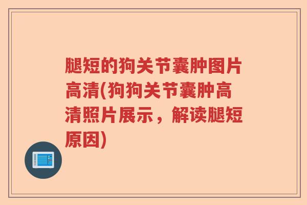 腿短的狗关节囊肿图片高清(狗狗关节囊肿高清照片展示，解读腿短原因)