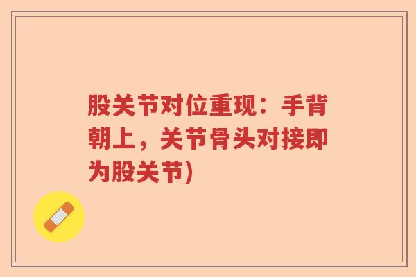 股关节对位重现：手背朝上，关节骨头对接即为股关节)