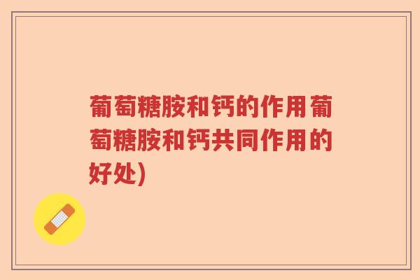 葡萄糖胺和钙的作用葡萄糖胺和钙共同作用的好处)