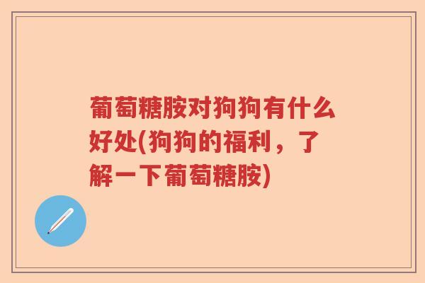 葡萄糖胺对狗狗有什么好处(狗狗的福利，了解一下葡萄糖胺)