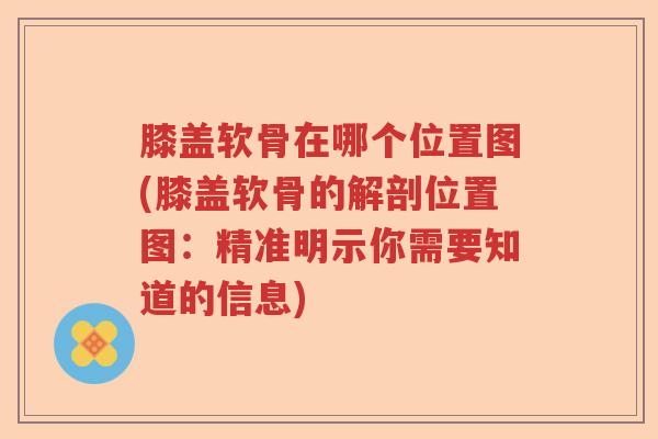 膝盖软骨在哪个位置图(膝盖软骨的解剖位置图：精准明示你需要知道的信息)