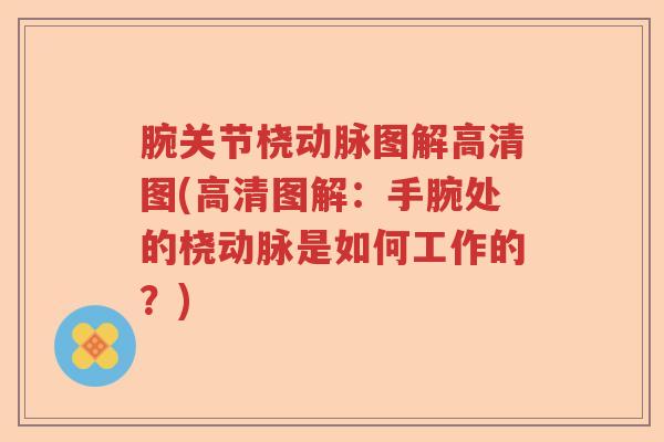 腕关节桡动脉图解高清图(高清图解:手腕处的桡动脉是如何工作的?) 腕关节桡动脉图解高清图(高清图解:手腕处的桡动脉是如何工作的?)