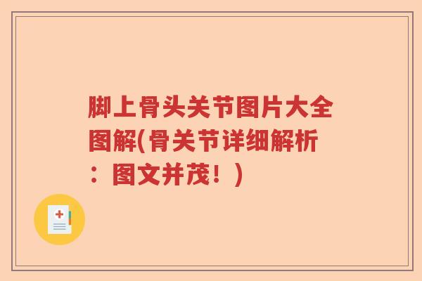 脚上骨头关节图片大全图解(骨关节详细解析:图文并茂!) 脚上骨头关节图片大全图解(骨关节详细解析:图文并茂!)