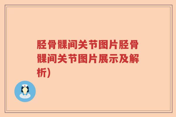 胫骨髁间关节图片胫骨髁间关节图片展示及解析) 胫骨髁间关节图片胫骨髁间关节图片展示及解析)