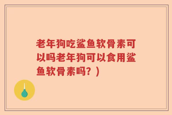 老年狗吃鲨鱼软骨素可以吗老年狗可以食用鲨鱼软骨素吗?) 老年狗吃鲨鱼软骨素可以吗老年狗可以食用鲨鱼软骨素吗?)