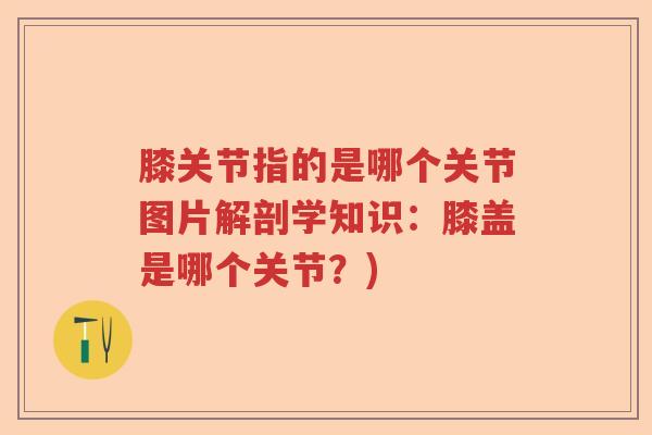 膝关节指的是哪个关节图片解剖学知识:膝盖是哪个关节?) 膝关节指的是哪个关节图片解剖学知识:膝盖是哪个关节?)