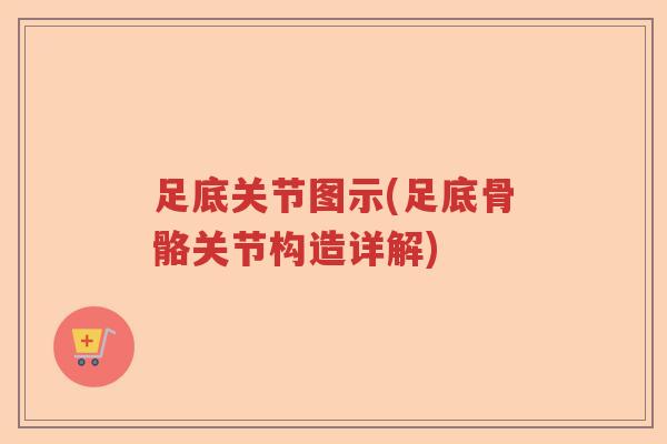 足底关节图示(足底骨骼关节构造详解)