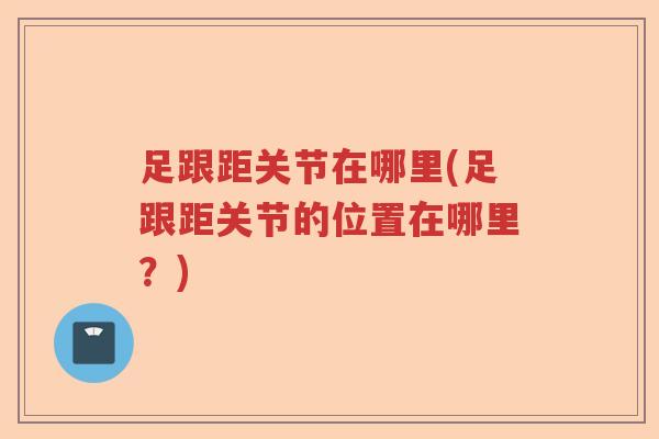足跟距关节在哪里(足跟距关节的位置在哪里？)