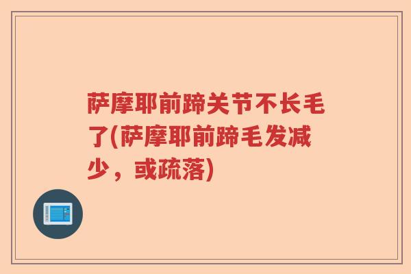 萨摩耶前蹄关节不长毛了(萨摩耶前蹄毛发减少,或疏落) 萨摩耶前蹄关节不长毛了(萨摩耶前蹄毛发减少,或疏落)